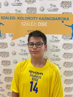 Dicső Vilmos Martin