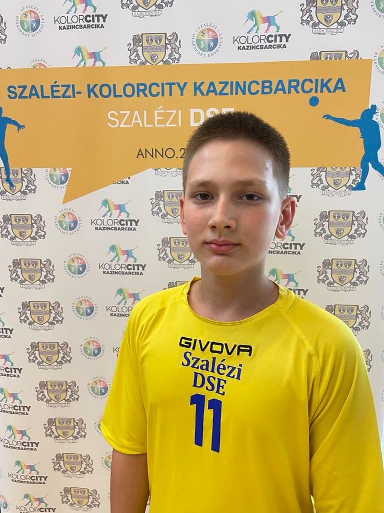 Faller Bence portréja